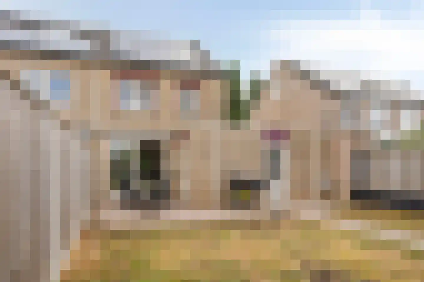 Canisvlietstraat 31 Sluiskil thumbnail 28