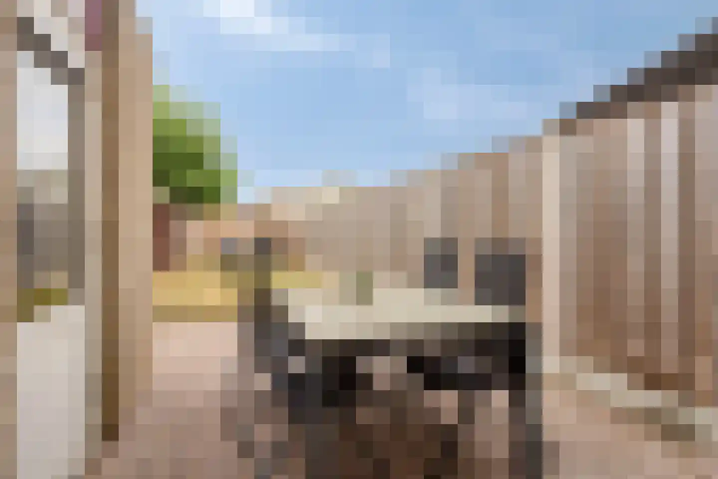 Canisvlietstraat 31 Sluiskil thumbnail 29