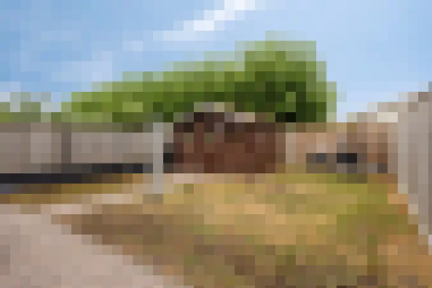 Canisvlietstraat 31 Sluiskil thumbnail 30