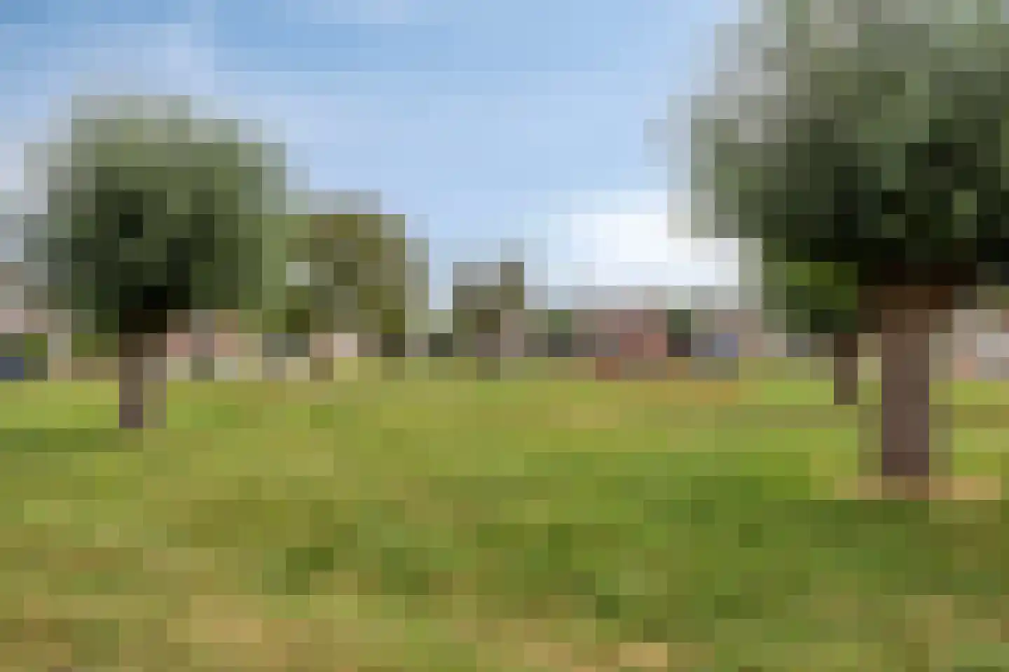 Canisvlietstraat 31 Sluiskil thumbnail 31