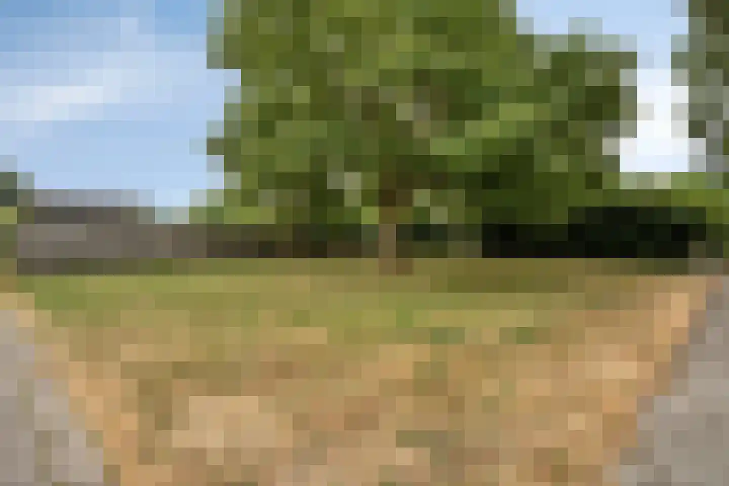 Canisvlietstraat 31 Sluiskil thumbnail 32