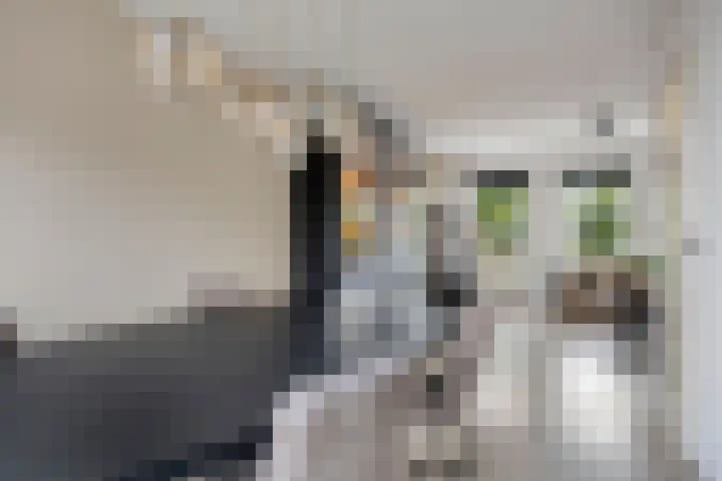 Canisvlietstraat 31 Sluiskil thumbnail 8