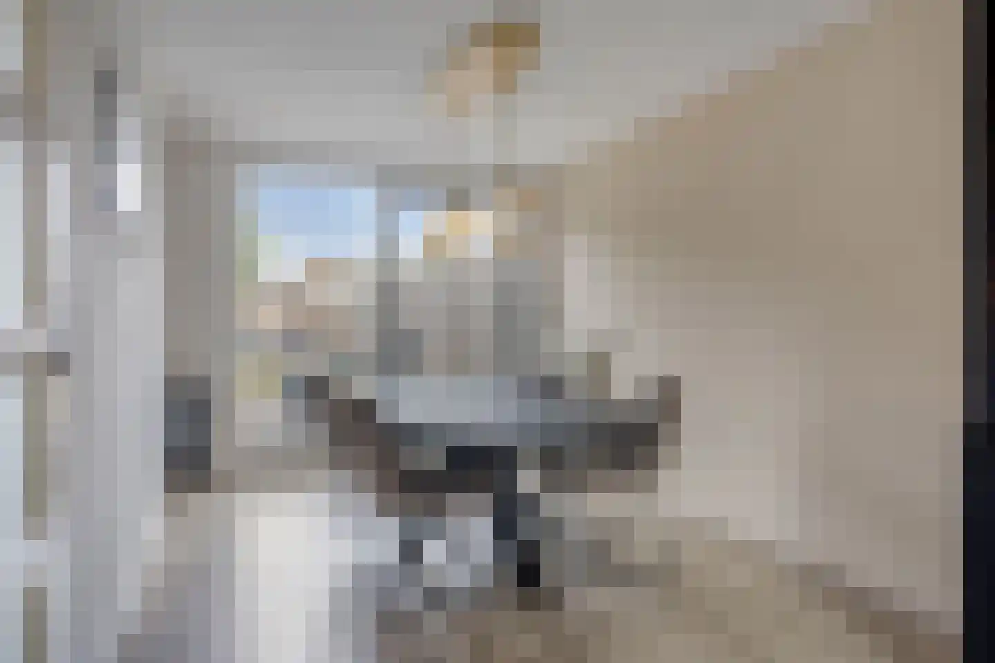 Canisvlietstraat 31 Sluiskil thumbnail 9