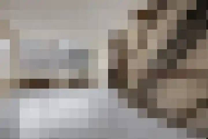 Cannabichstraat 46 Tilburg thumbnail 10