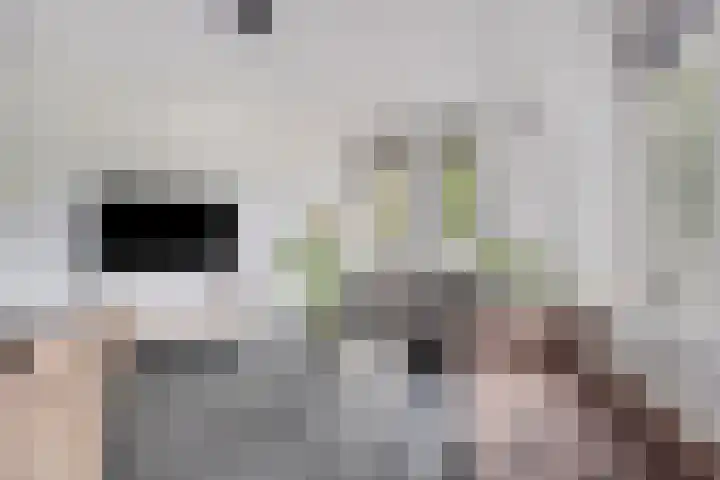 Cannabichstraat 46 Tilburg thumbnail 17