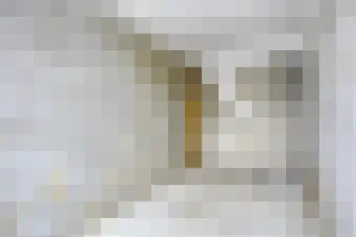 Cannabichstraat 46 Tilburg thumbnail 20