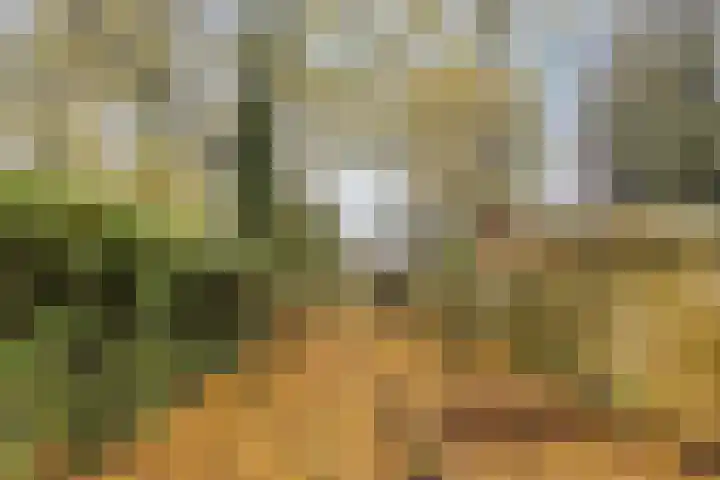 Cannabichstraat 46 Tilburg thumbnail 23