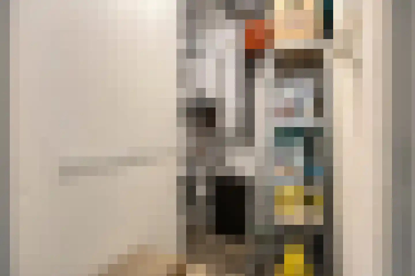 Cannabichstraat 68 Tilburg thumbnail 11