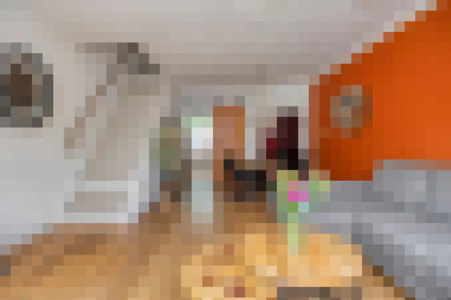 Cannabichstraat 68 Tilburg thumbnail 18