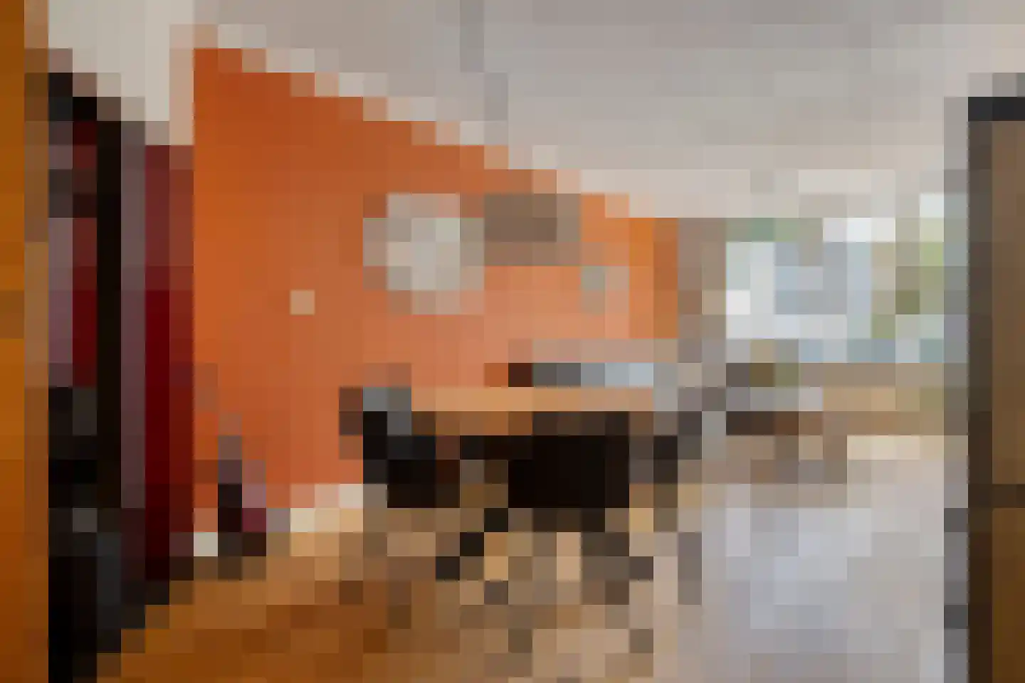 Cannabichstraat 68 Tilburg thumbnail 26