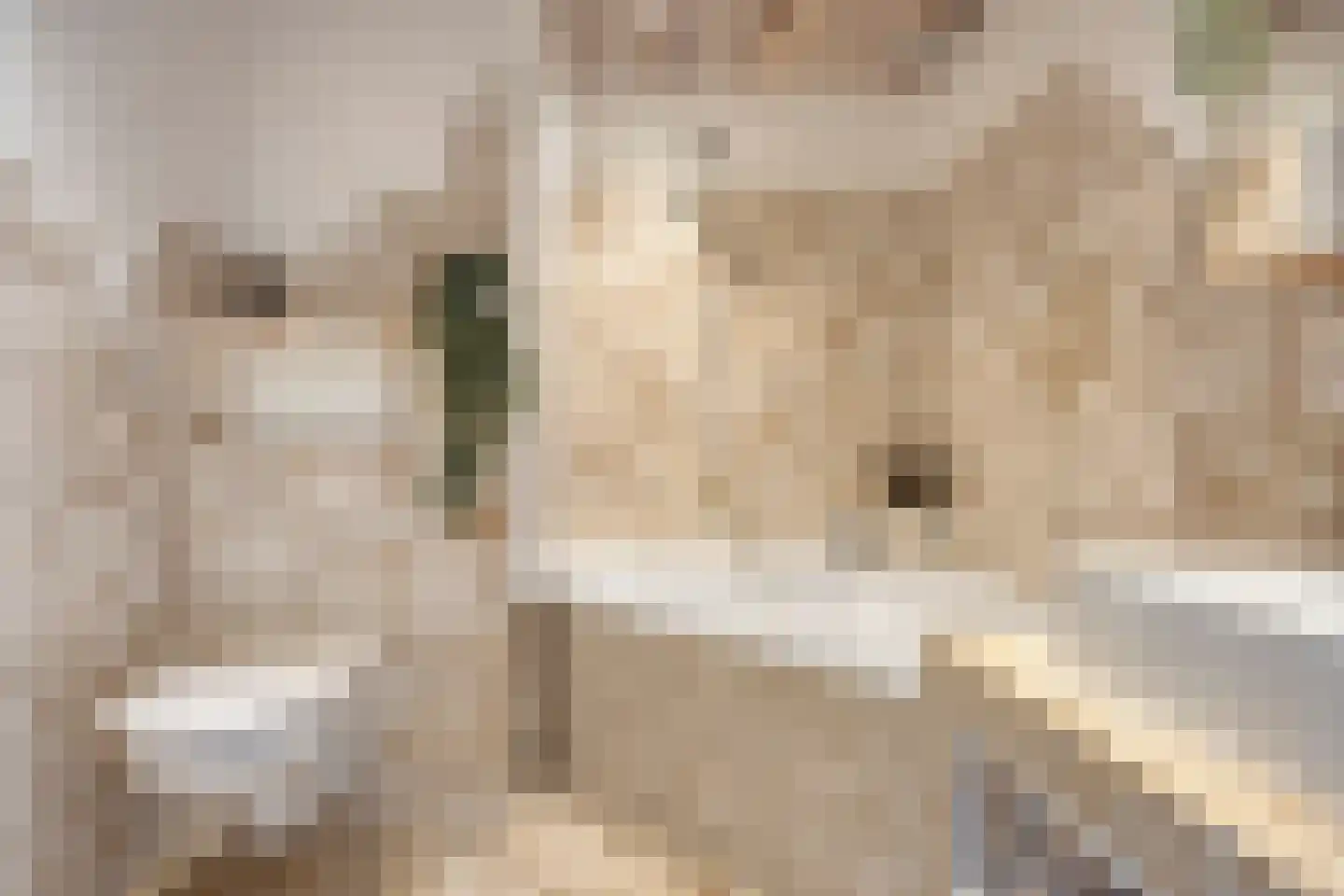 Cannabichstraat 68 Tilburg thumbnail 4