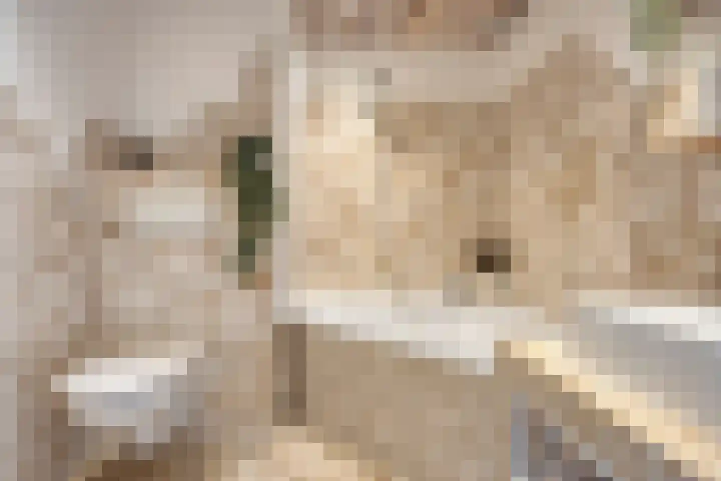 Cannabichstraat 68 Tilburg thumbnail 46