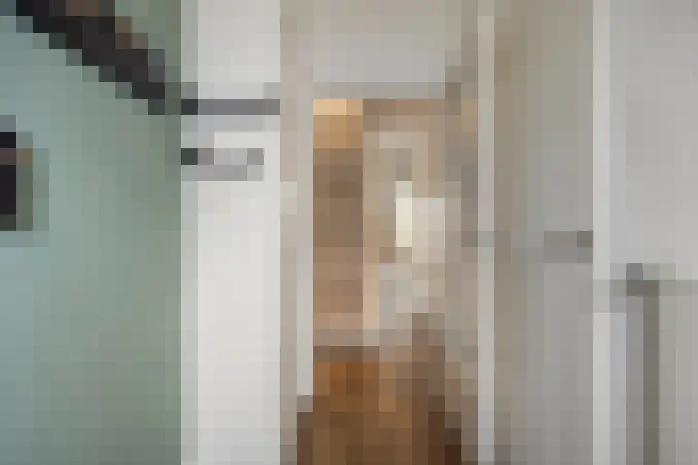 Cannabichstraat 68 Tilburg thumbnail 5