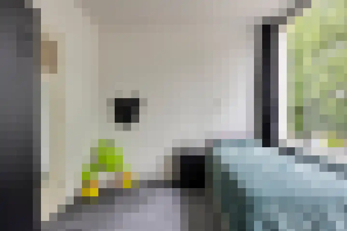 Cannabichstraat 68 Tilburg thumbnail 51