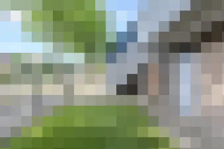 Cannaertserf 15 Breda thumbnail 10