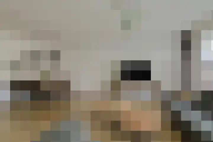 Cannaertserf 15 Breda thumbnail 12