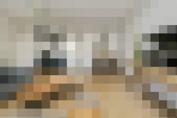 Cannaertserf 15 Breda thumbnail 13