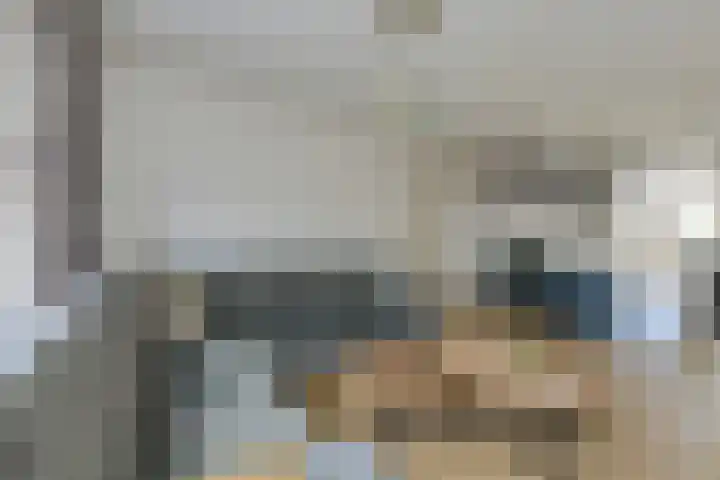 Cannaertserf 15 Breda thumbnail 14