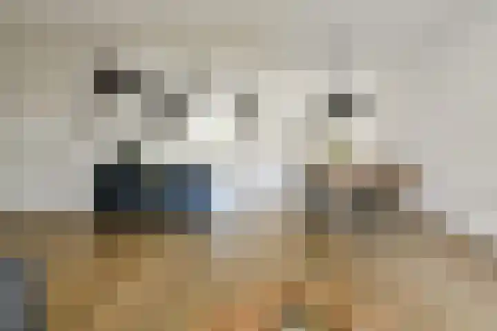 Cannaertserf 15 Breda thumbnail 15