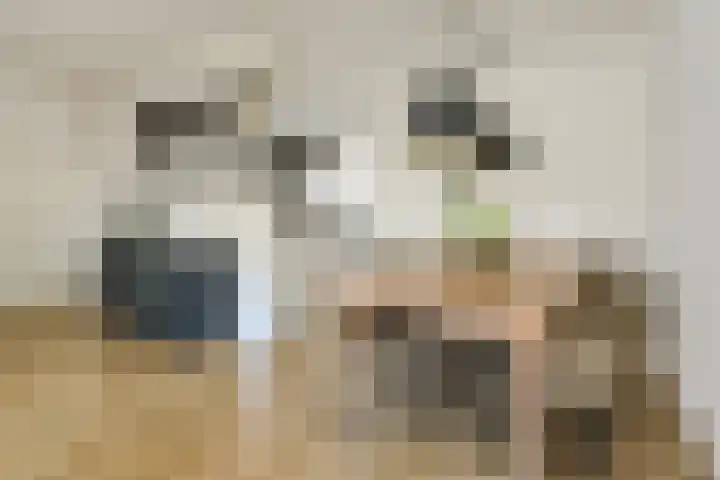 Cannaertserf 15 Breda thumbnail 16
