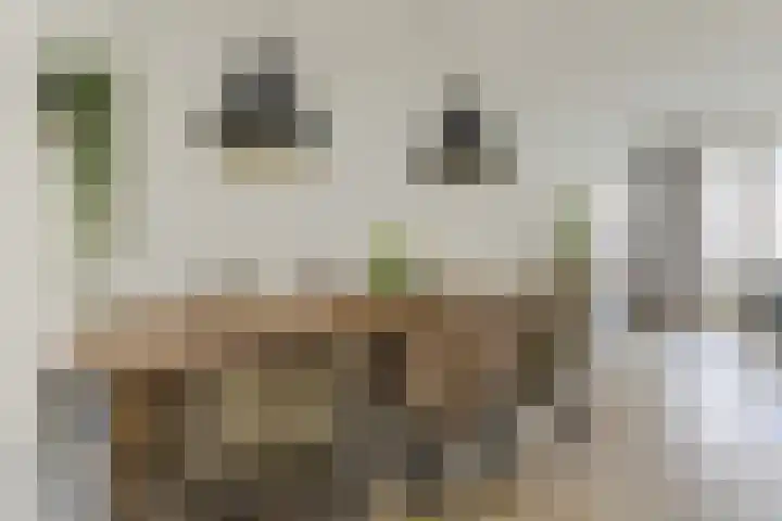 Cannaertserf 15 Breda thumbnail 18