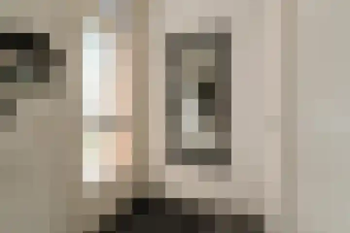 Cannaertserf 15 Breda thumbnail 20