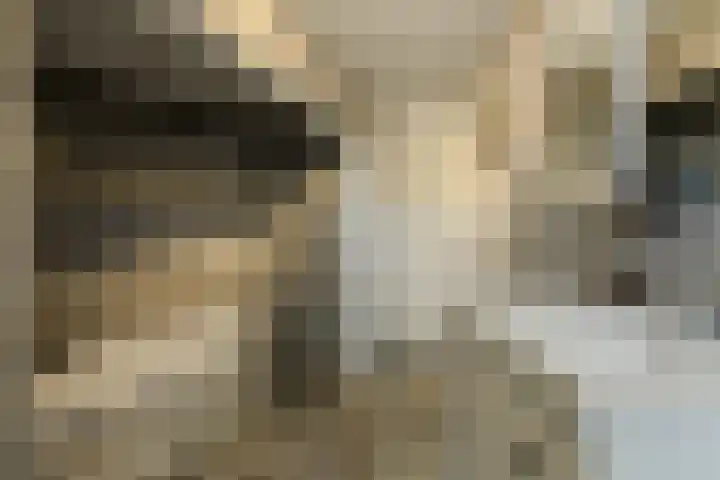Cannaertserf 15 Breda thumbnail 29