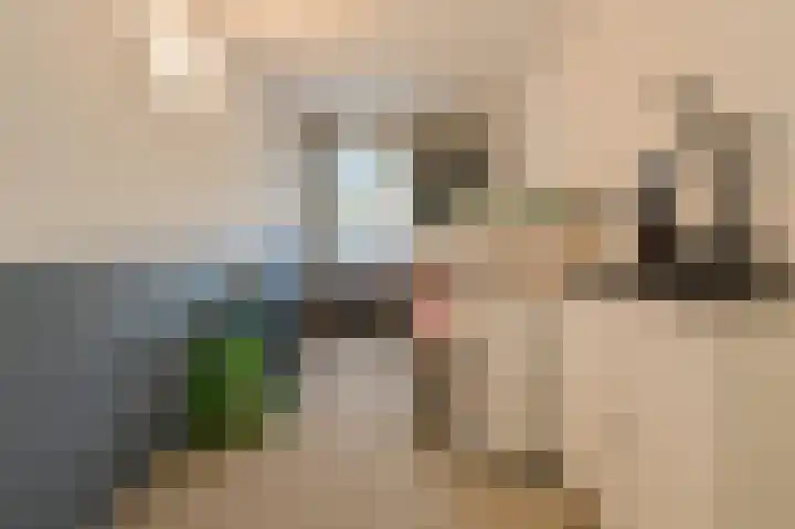 Cannaertserf 15 Breda thumbnail 30