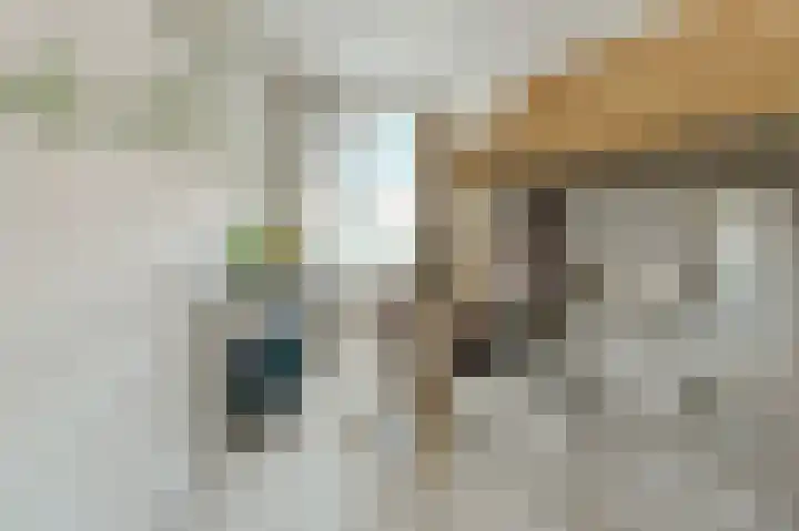 Cannaertserf 15 Breda thumbnail 33