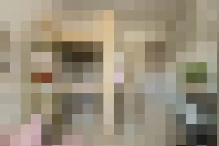 Cannaertserf 15 Breda thumbnail 34