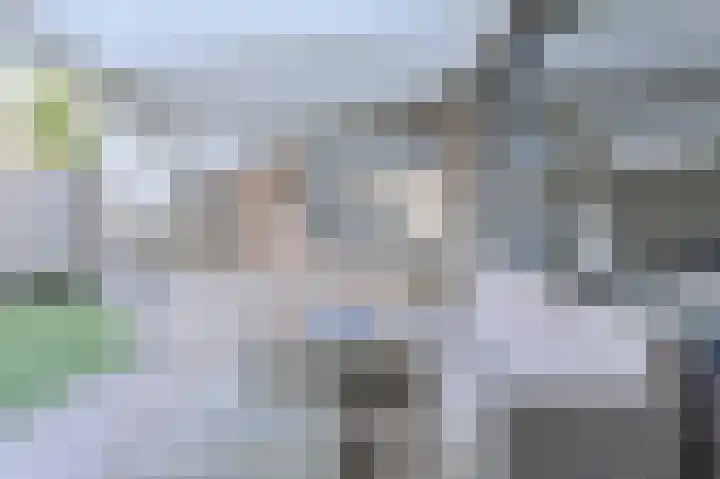 Cannaertserf 15 Breda thumbnail 36
