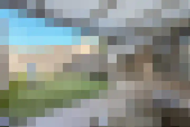Cannaertserf 15 Breda thumbnail 37
