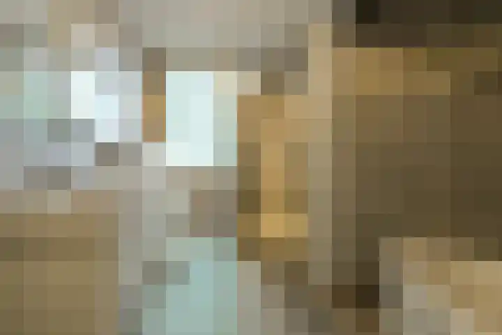 Cannaertserf 15 Breda thumbnail 4