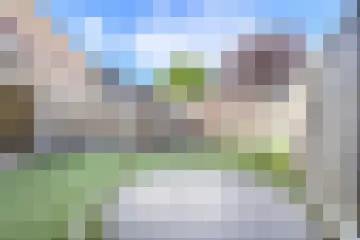 Cannaertserf 15 Breda thumbnail 40