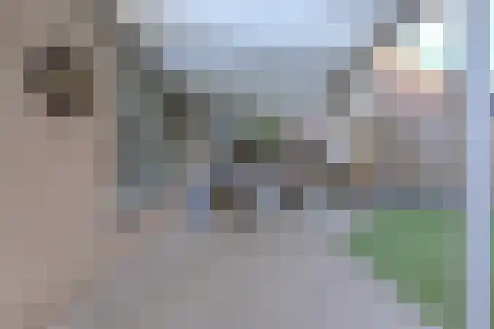 Cannaertserf 15 Breda thumbnail 41