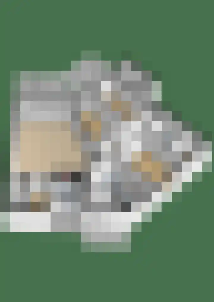 Cannaertserf 15 Breda thumbnail 45