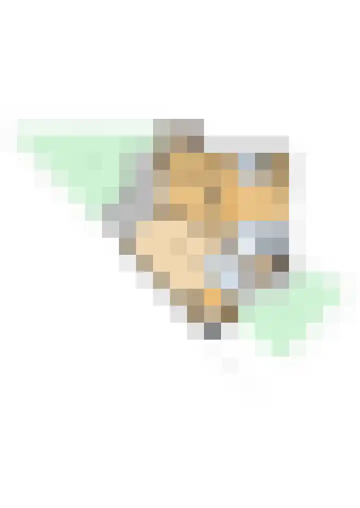 Cannaertserf 15 Breda thumbnail 47