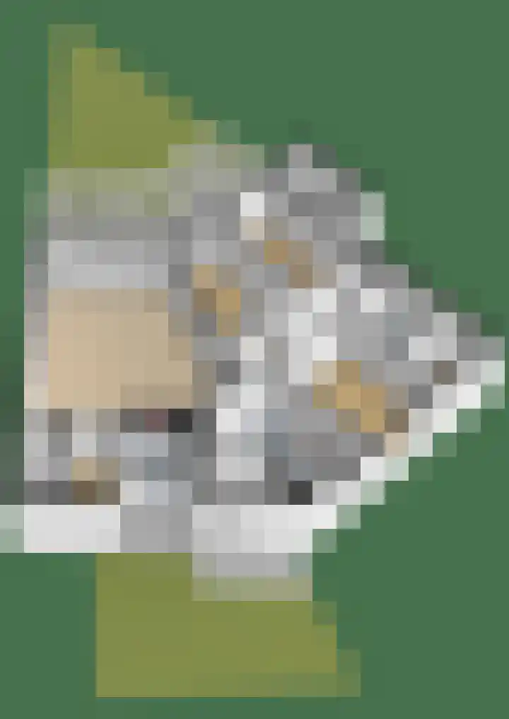 Cannaertserf 15 Breda thumbnail 48