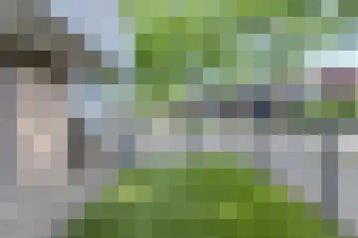 Cannaertserf 15 Breda thumbnail 7