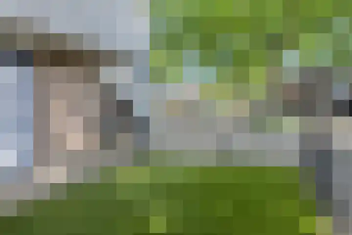 Cannaertserf 15 Breda thumbnail 9