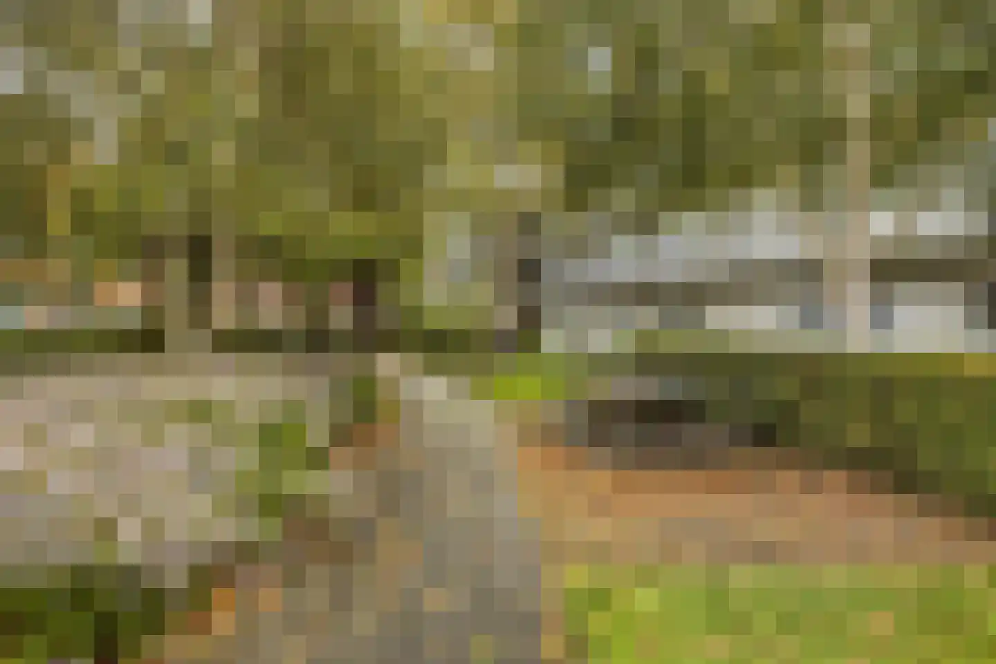 Cannemanstraat 105 Rotterdam thumbnail 26