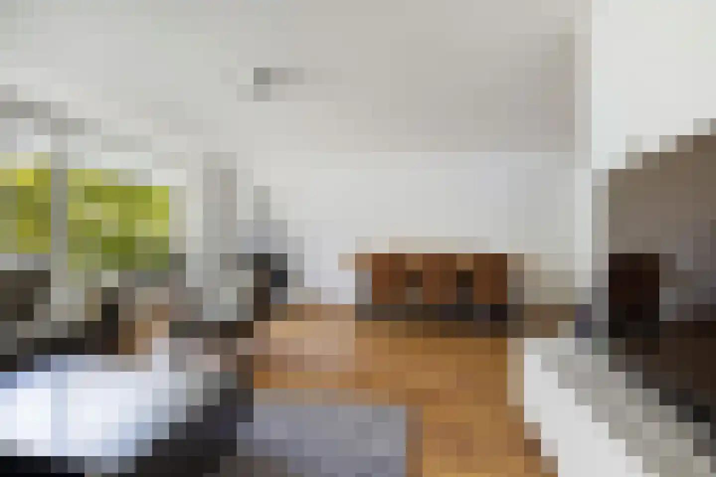 Cannemanstraat 117 Rotterdam thumbnail 15