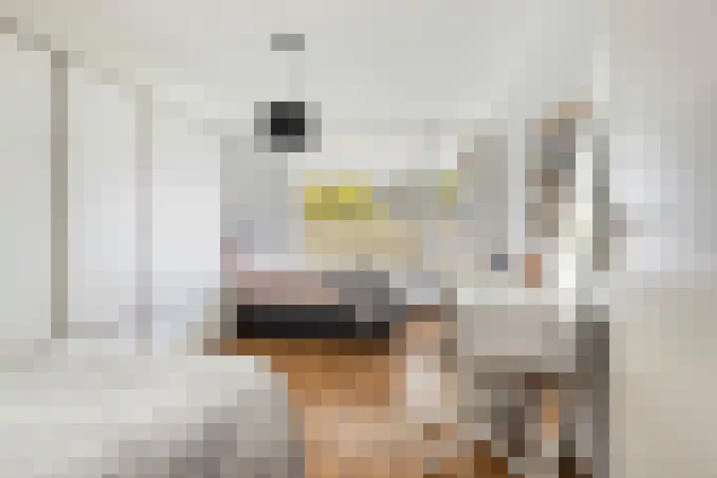 Cannemanstraat 117 Rotterdam thumbnail 25