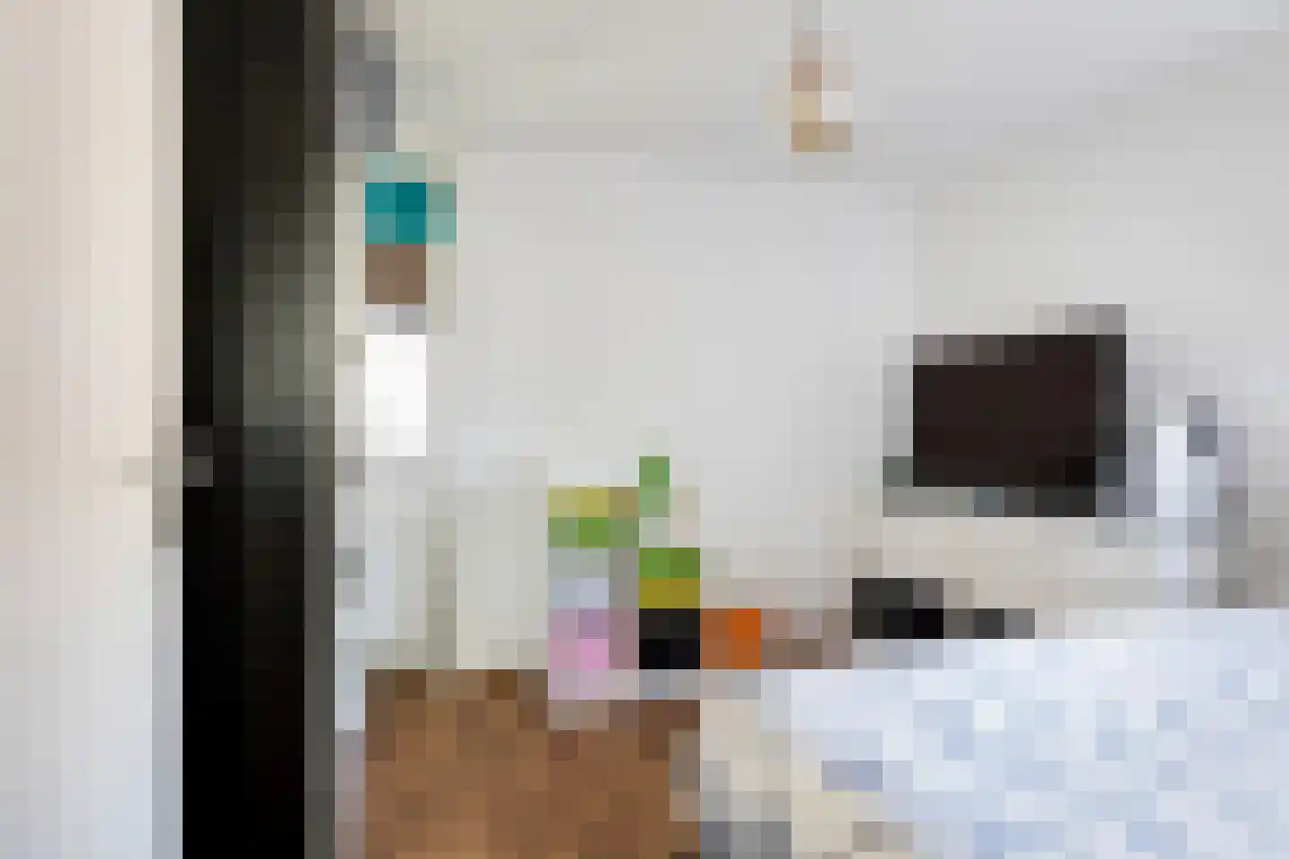 Cannemanstraat 117 Rotterdam thumbnail 27