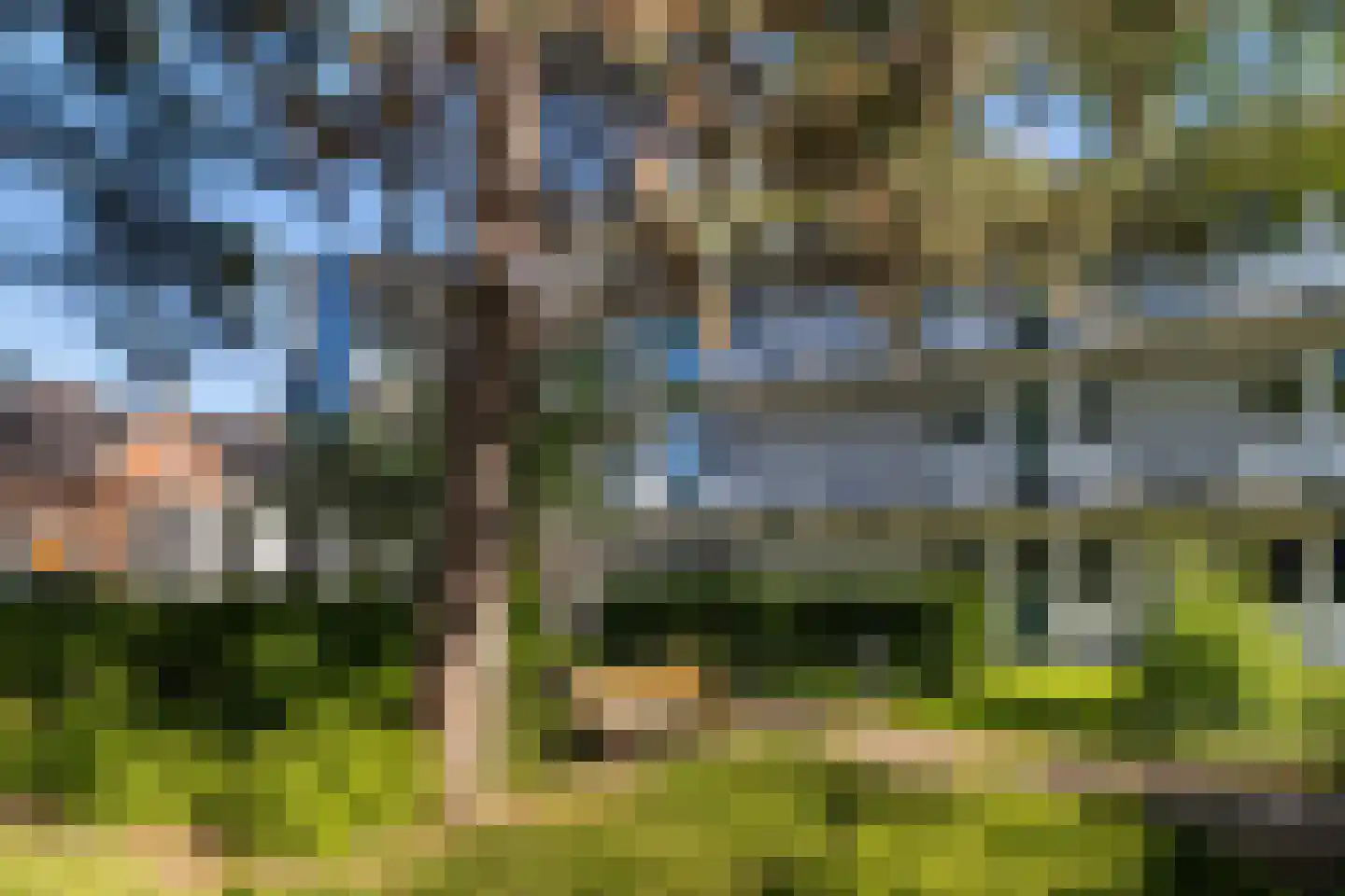 Cannemanstraat 117 Rotterdam thumbnail 7