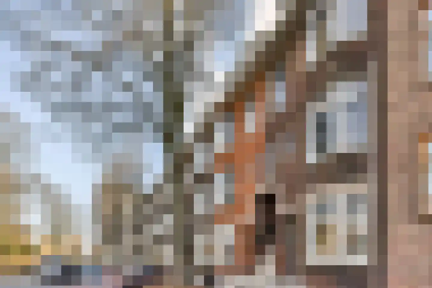 Cannemanstraat 19 Rotterdam thumbnail 29
