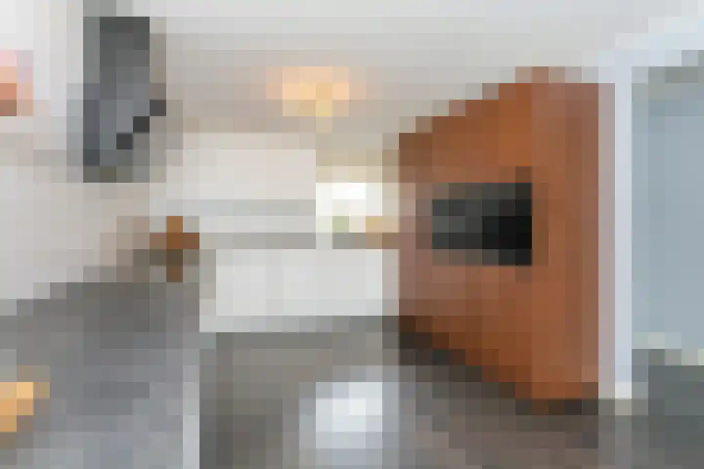 Cannemanstraat 25 Rotterdam thumbnail 4