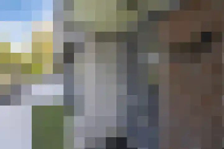 Cannenburch 128 Lelystad thumbnail 11