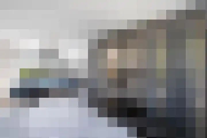 Cannenburch 128 Lelystad thumbnail 36