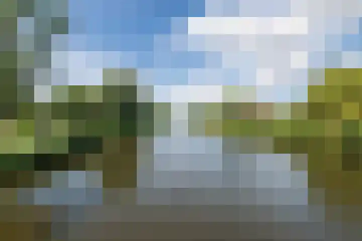 Cannenburch 156 Lelystad thumbnail 55